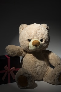 Teddy bear plush gifts