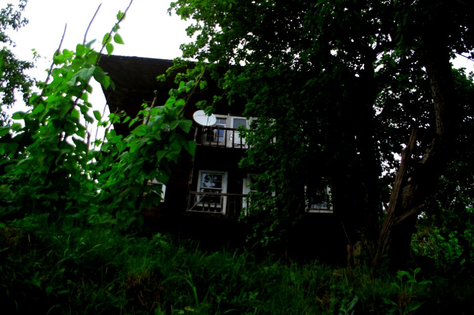 Başköy-Senoz-Çayeli-Rize