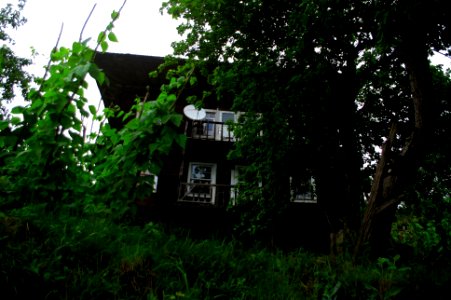 Başköy-Senoz-Çayeli-Rize