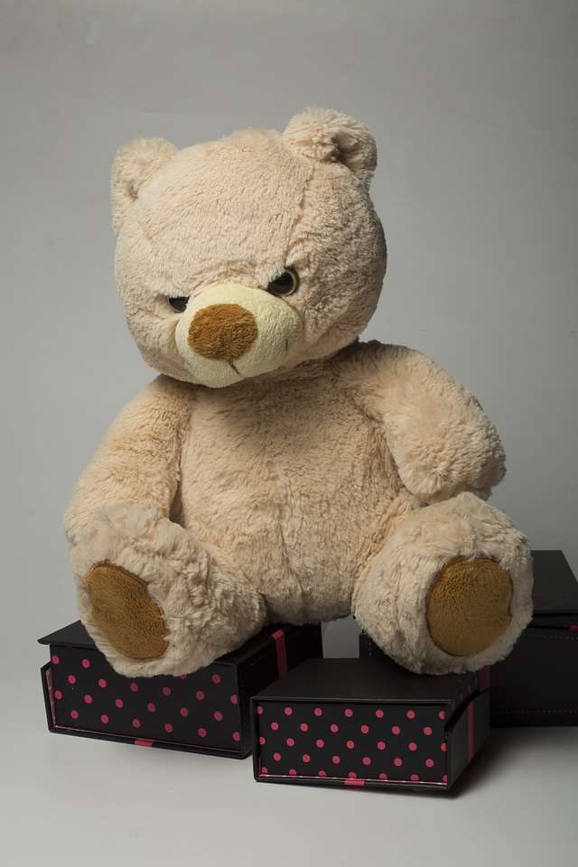 Teddy bear plush gifts
