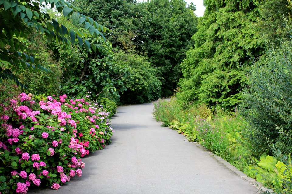 Golden Acre Park - Leeds