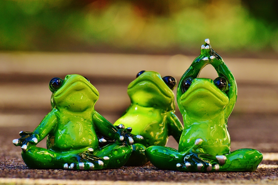 Gymnastics funny frog