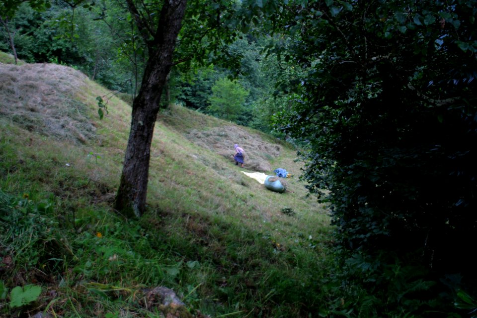 Başköy-Senoz-Çayeli-Rize