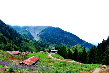 Çahçor yaylası Senoz Çayeli Rize