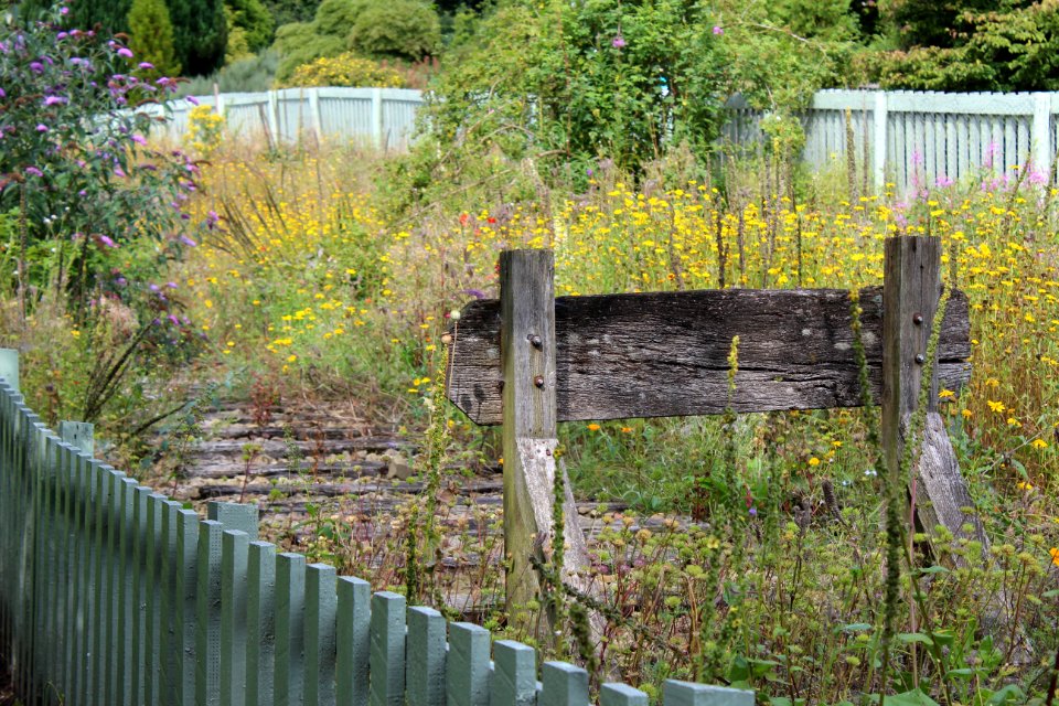 Golden Acre Park - Leeds