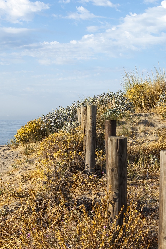 Beach nature landscape