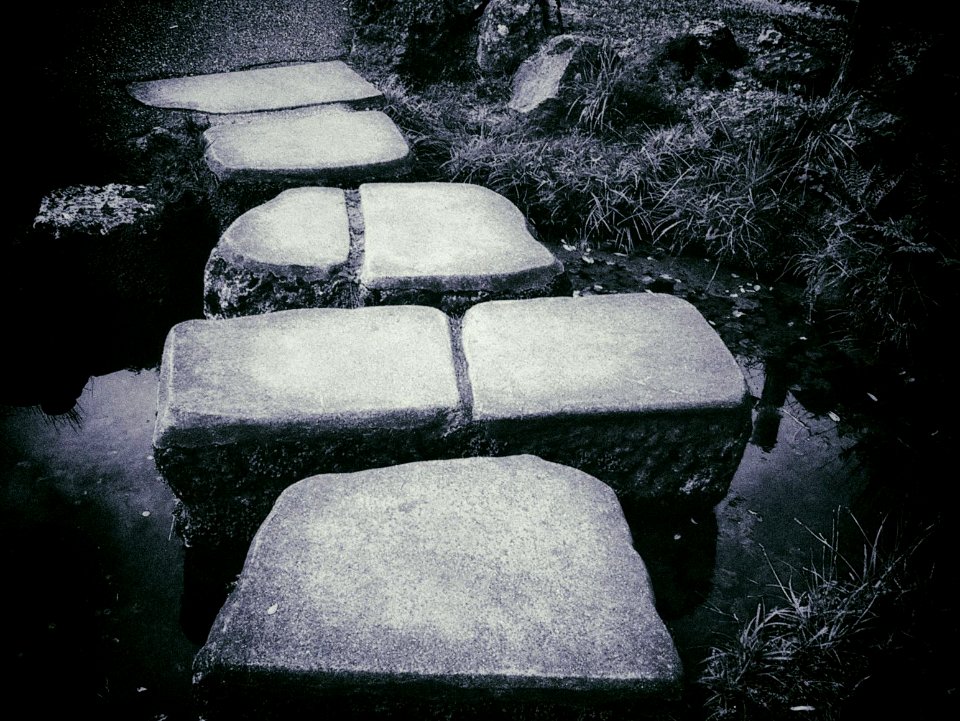 Steps BW