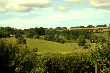 IMG 0933