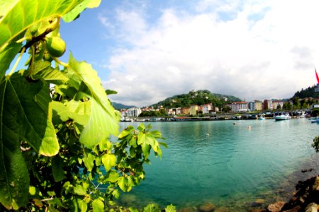 Çayeli Rize