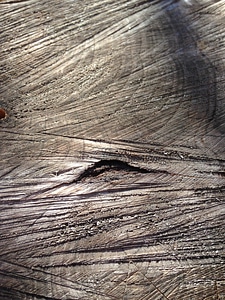 Texture stripe wood wood cutting