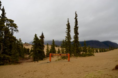 DSC 4175