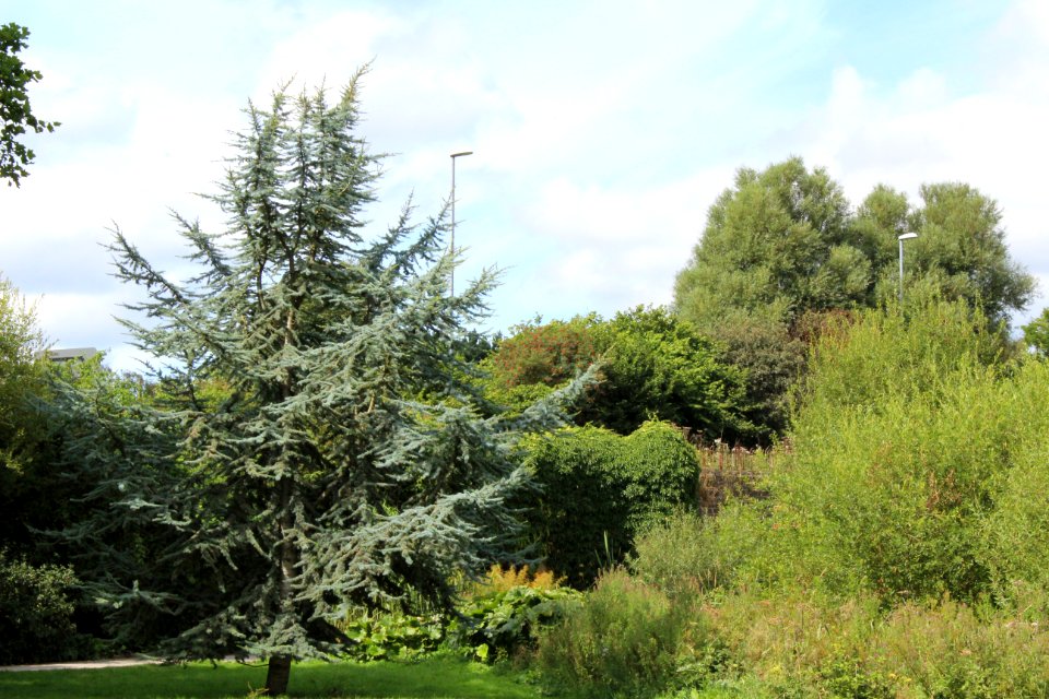 Golden Acre Park - Leeds