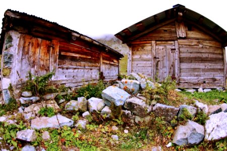 Ambarlı Yaylası Rize