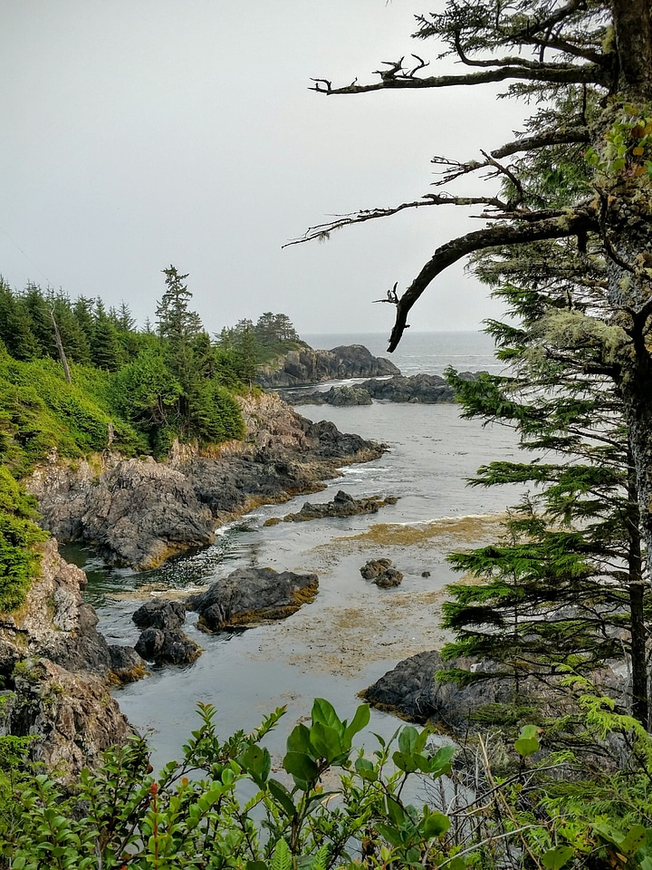 Landscape british columbia