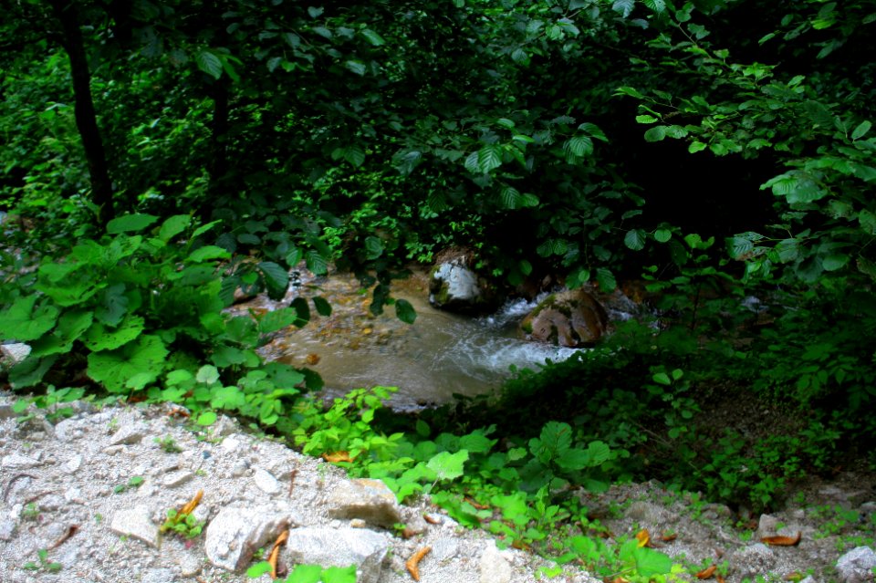 Başköy-Senoz-Çayeli-Rize