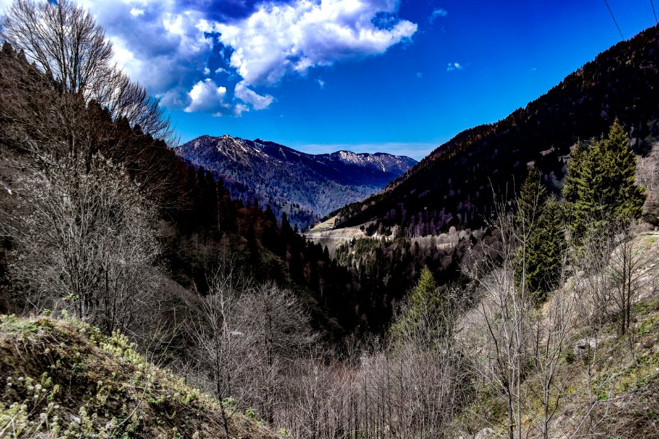 Ayder