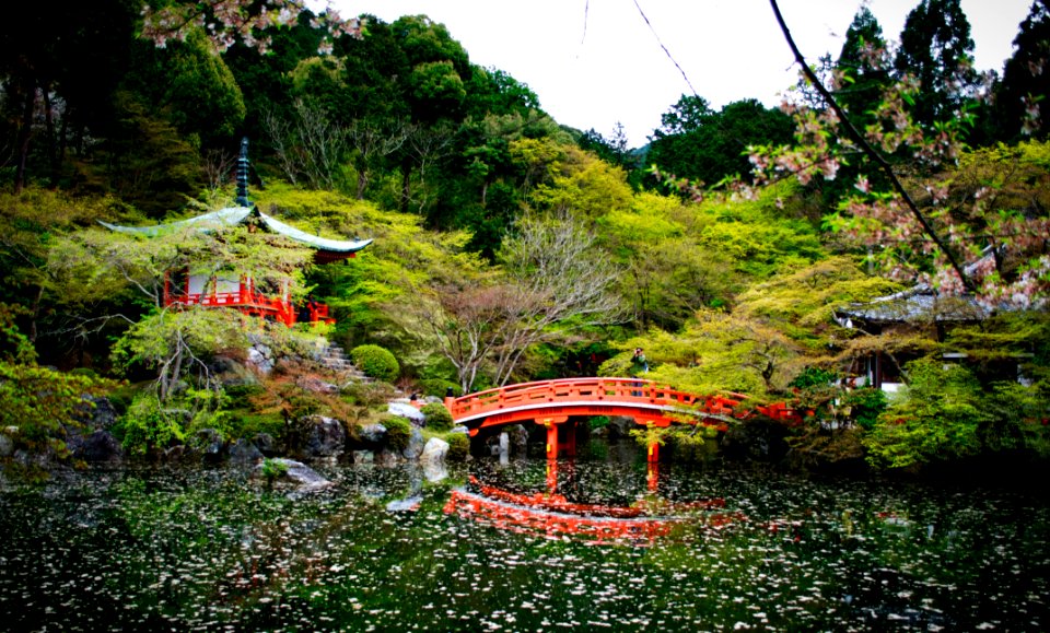 醍醐寺 Daigo Temple