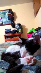 WP 20160218 01 08 12 Pro (2)