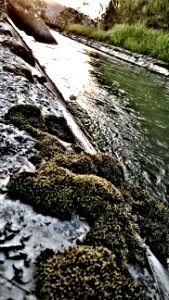 WP 20150109 17 38 08 Pro