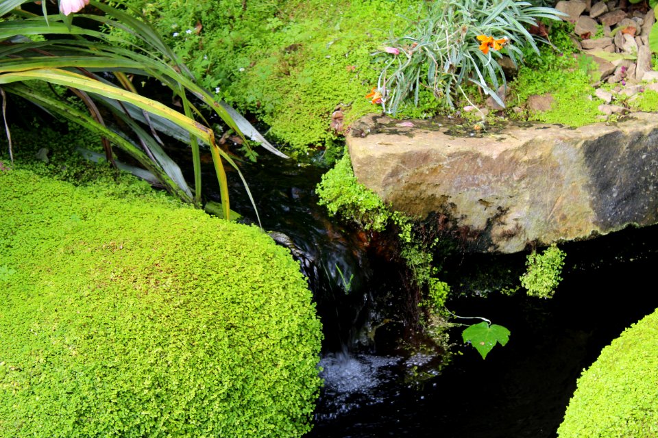 Golden Acre Park - Leeds