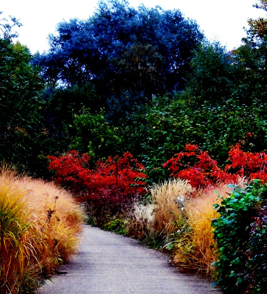 Great British Garden, Stratford, London