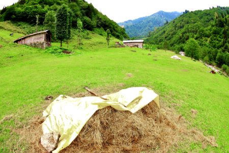 Şarinçor Yaylası Senoz Çayeli Rize