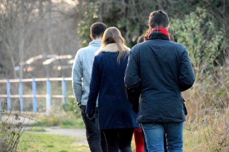 Stroll in the remnants of Epping Forest