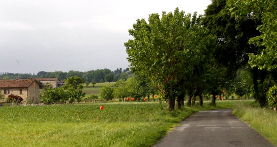 zz-Nespolo-Rotonda-DaNord2-Ridotta