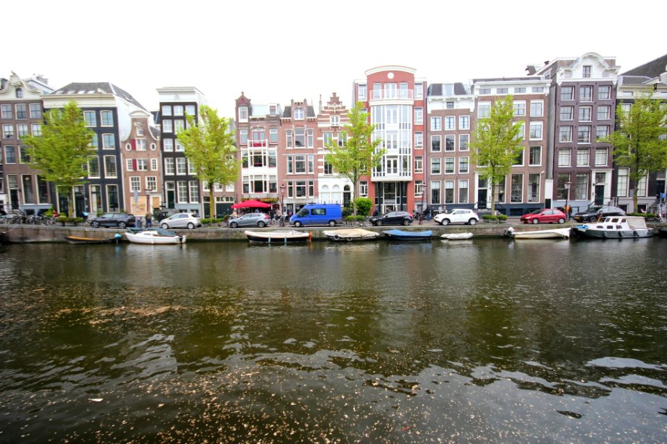 IMG 8515