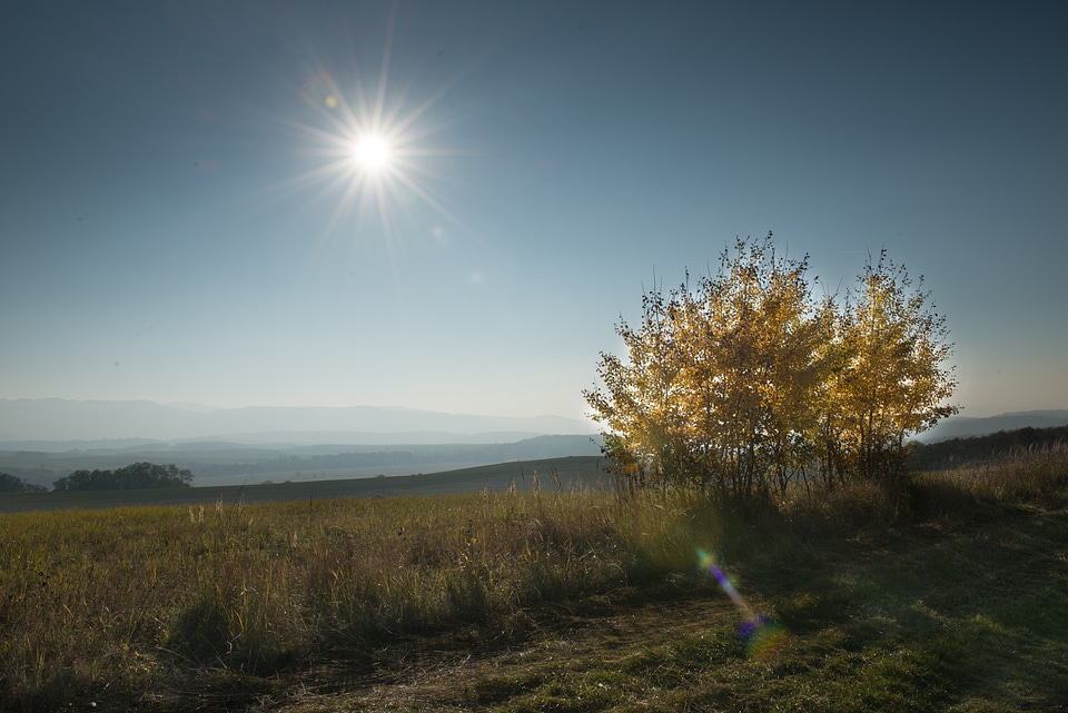 Slovakia foliage sun