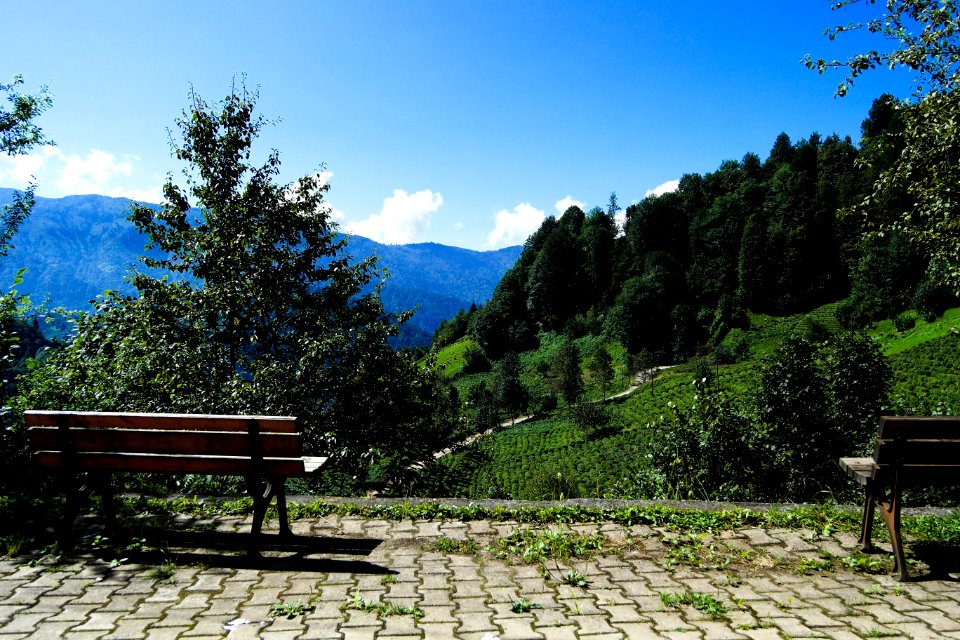 Başköy Senoz Çayeli Rize