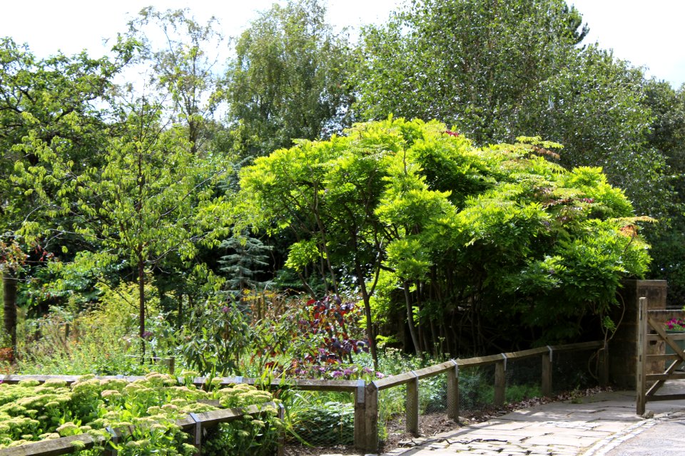 Golden Acre Park - Leeds