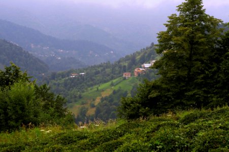 Başköy-Senoz-Çayeli-Rize