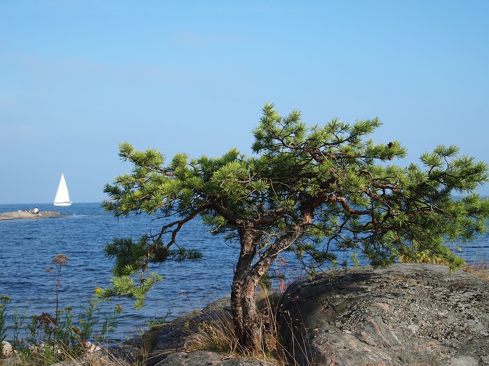Boats bay loneliness