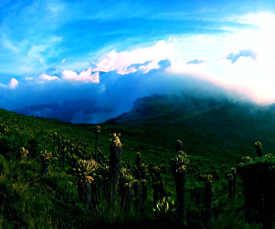 WP 20160114 17 05 21 Panorama (2)