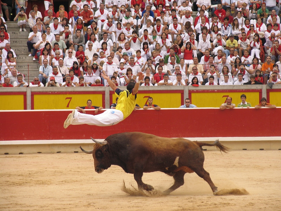 Toro trimmers bullring