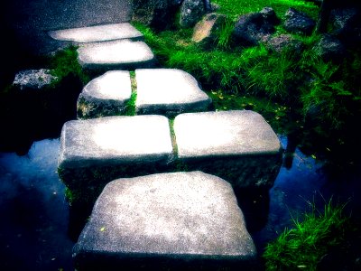 Zen Saying
