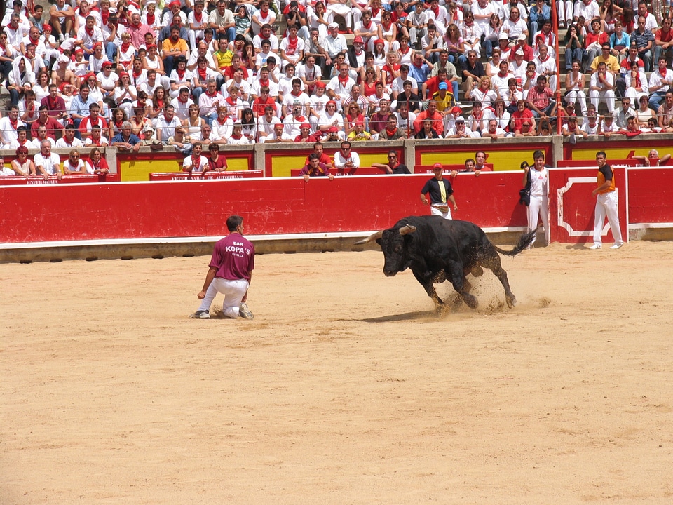 Toro trimmers bullring