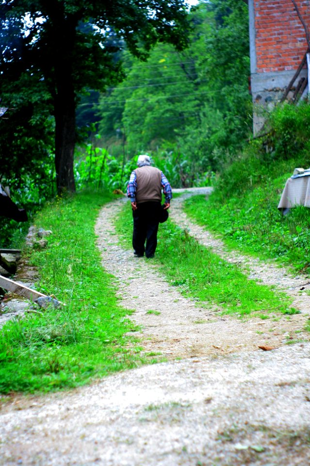 Başköy-Senoz-Çayeli-Rize