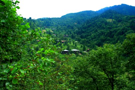 Başköy-Senoz-Çayeli-Rize