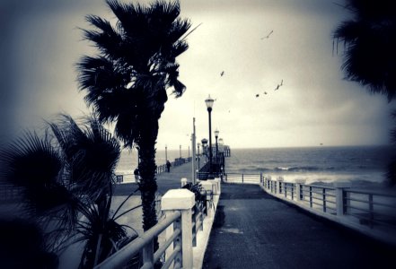 Pier-3
