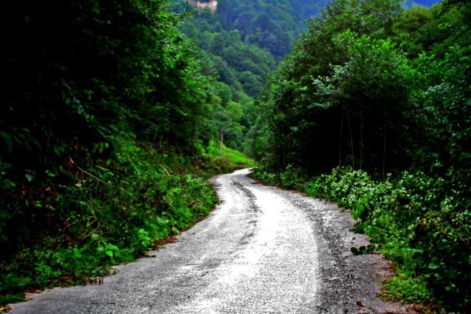 Başköy-Senoz-Çayeli-Rize