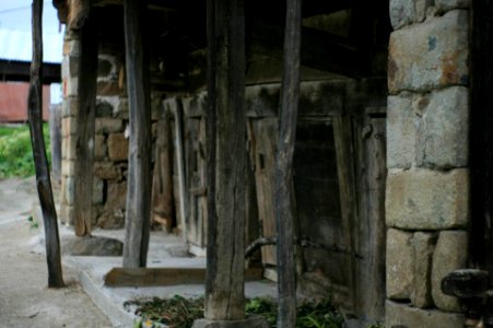 Başköy ,Senoz Çayeli Rize