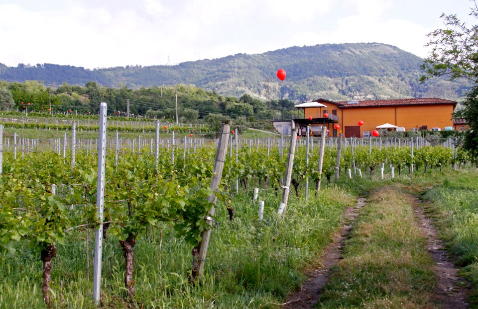 zz-Nigoline-VersoMonzio-Ridotta
