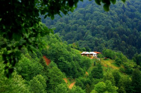 Başköy-Senoz-Çayeli-Rize