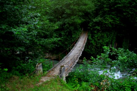 Başköy-Senoz-Çayeli-Rize
