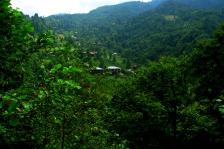 Başköy-Senoz-Çayeli-Rize