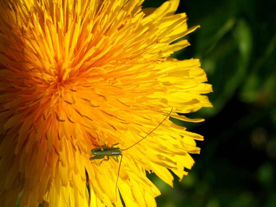 2015fruehling 078