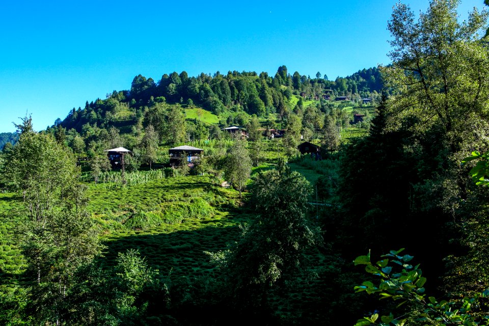 Başköy Senoz Çayeli Rize