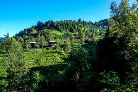 Başköy Senoz Çayeli Rize